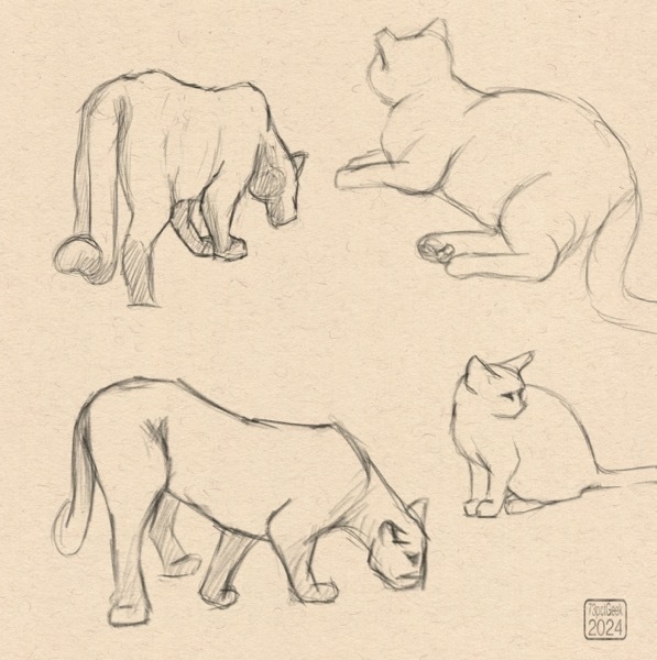 Digital sketches of four different cats: two big cats, and two house cats.