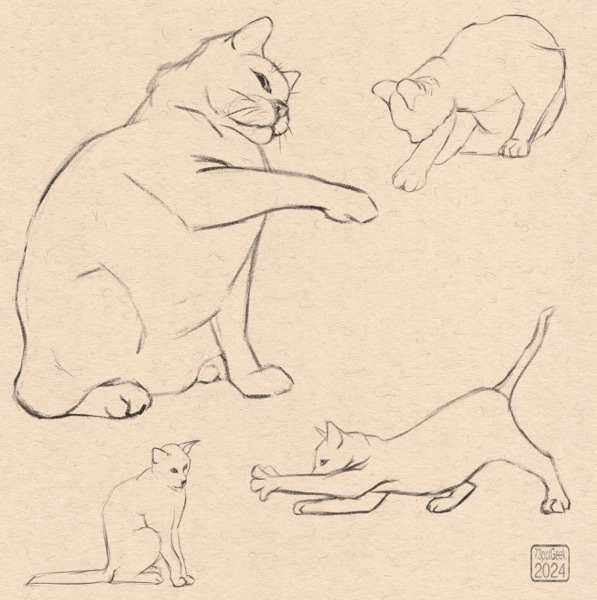 Digital sketches of four different cats.