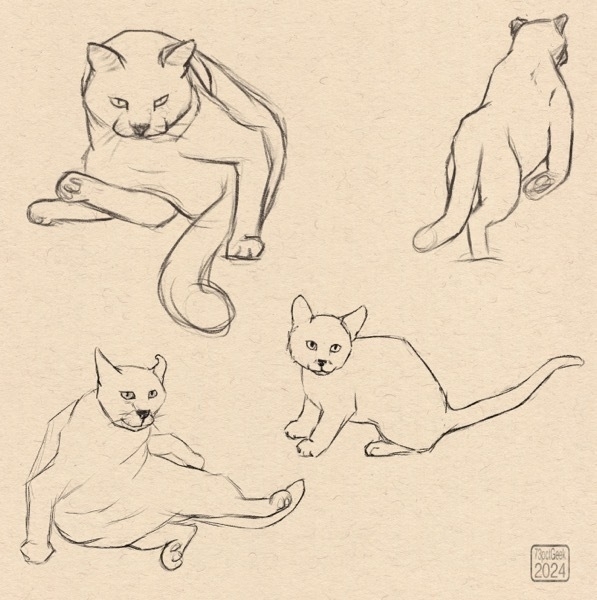 Digital sketches of four different cats, one of which is a big cat, the others are house cats.