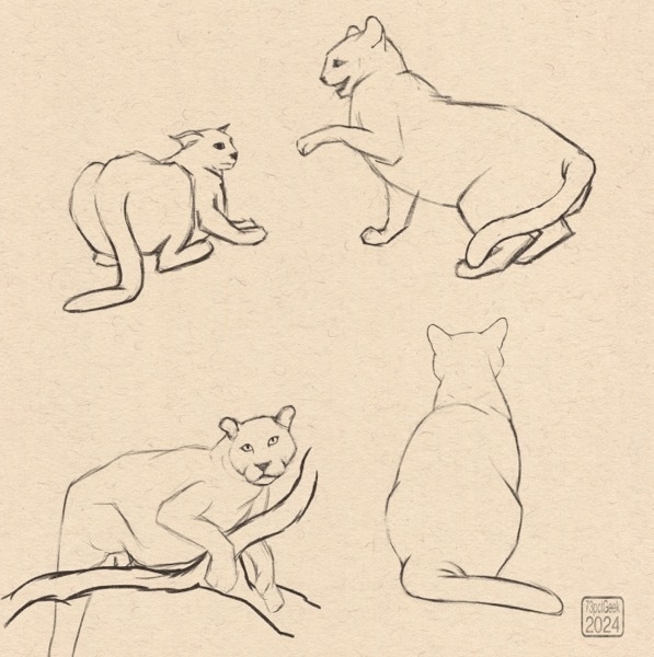 Digital sketches of four different cats, one of which is a big cat, the others are house cats.