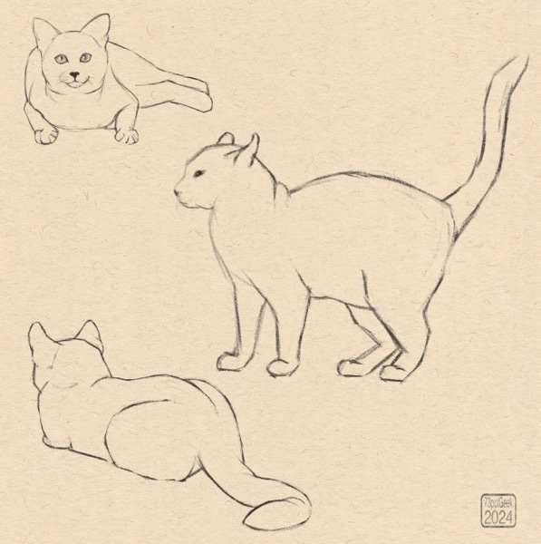 Digital sketches of three different cats.